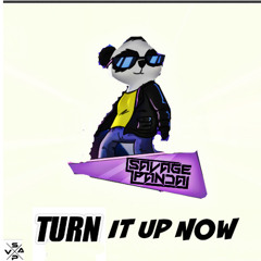 SAVAGE PANDA- TURN IT UP NOW