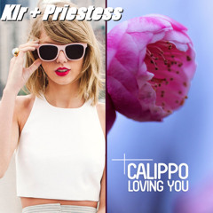 Mashup: Shake it Off (Taylor Swift) Vs Loving You (Calippo)