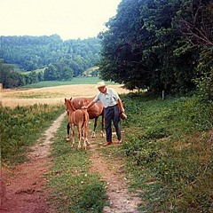 Upward Over The Mountain (Iron & Wine cover)