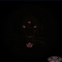 "Uptown Palmetto" by TrippyGod x Chino Flow (Prod. by Jaguarclaw)