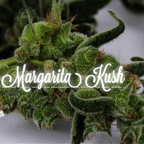 Margarita Kush