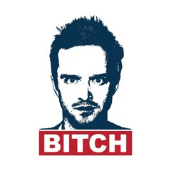 Jesse Pinkman BITCH REMIX