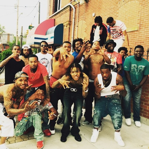 Shootem Up- BSQ FNE
