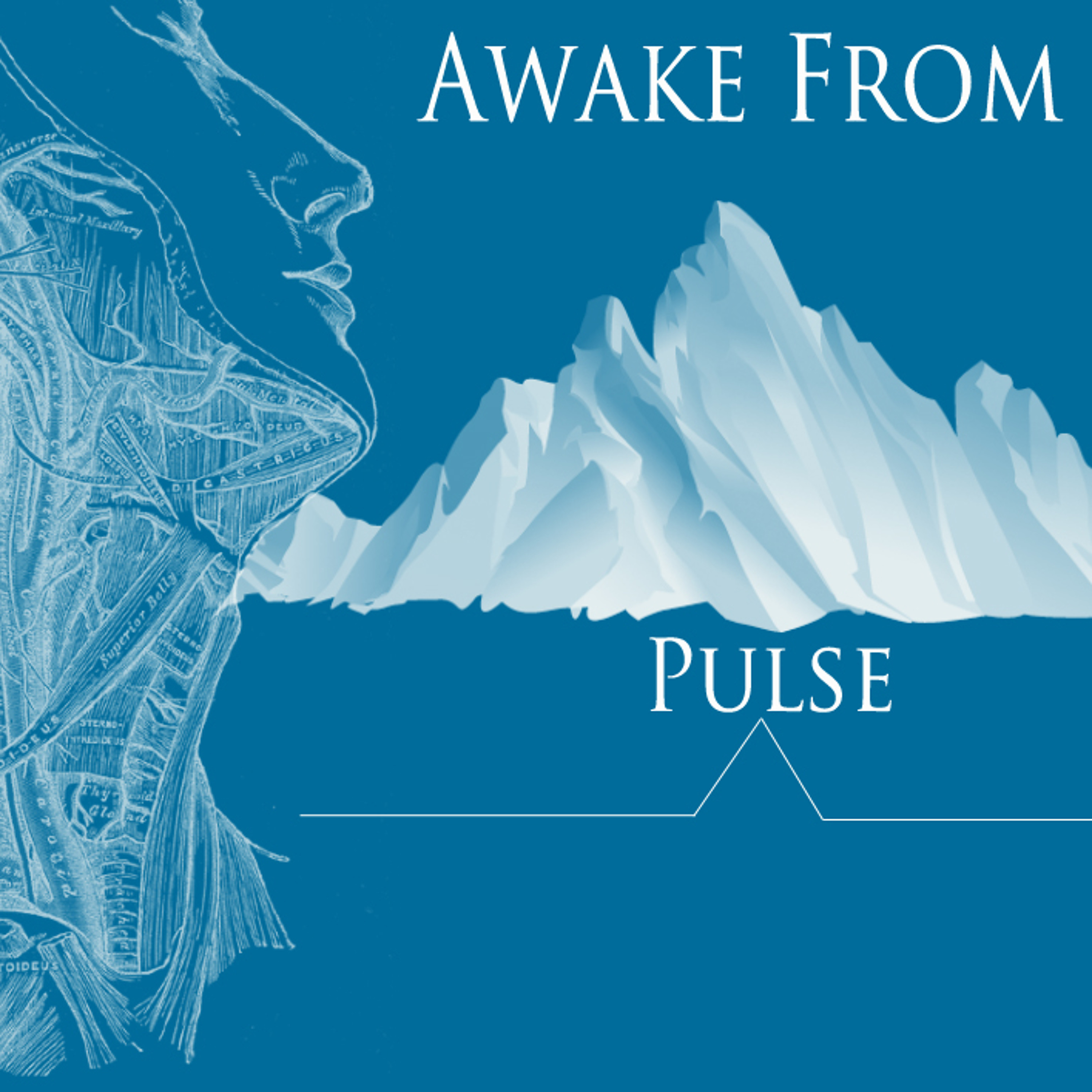 Pulse episode artwork