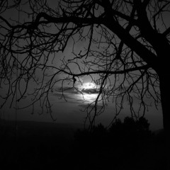 [ Cover ] 2 5  - YoungTi