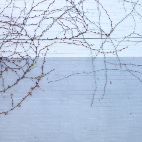 Podcast for Xlr8R, fall 2014