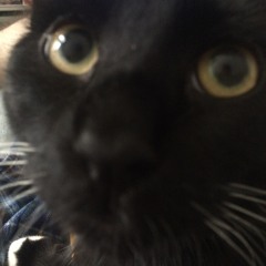 His Face Was Like Mine (or Something)