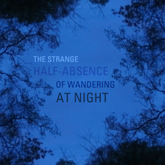 The Strange Half-Absence Of Wandering At Night