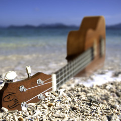 We Could Happen (ukulele cover)