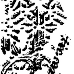 A1 untitled