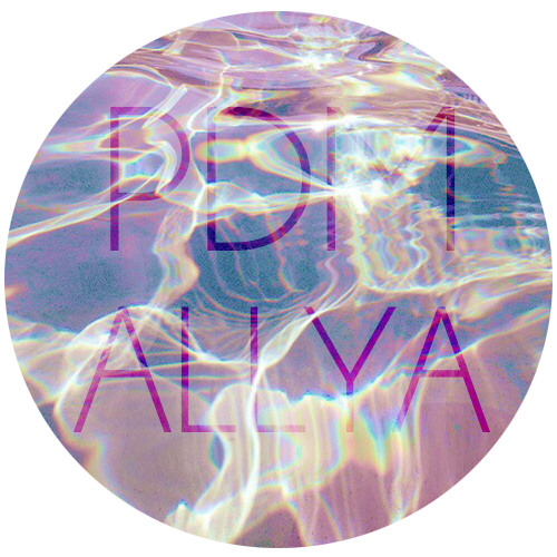 Pascal Junior - Me & You (Paul Damixie, Allya Remix)