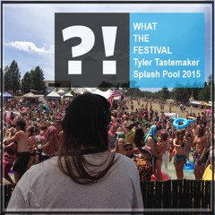 Live from Splash Pool What The Festival 2015