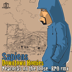 Sapiens - Downtown Homies (Original Mix)