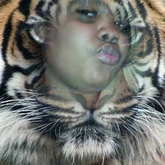 Talking With Songs (Pilot)