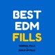 on Best EDM Fills **Click BUY for FREE DOWNLOAD**