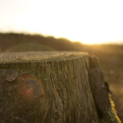 Guided Forgiveness Meditation