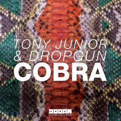 Tony Junior & Dropgun - Cobra (Original Mix)[OUT NOW]