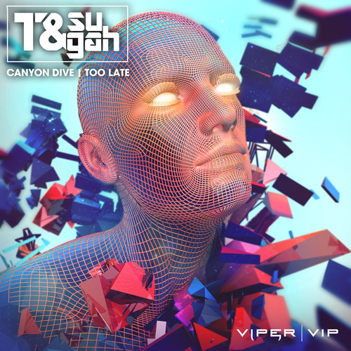 T & Sugah - Too Late [VIPER RECORDINGS]