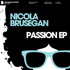 Nicola Brusegan - Analog Day