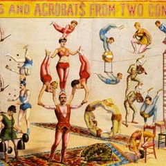 The Circus
