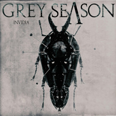 GREY SEASON - Reflections