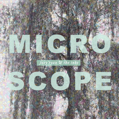 Microscope