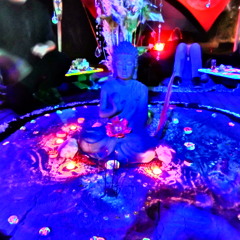 Solstice Festival 2015