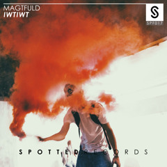 Magtfuld - IWTIWT (Original Mix)