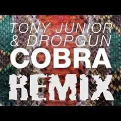 Tony Junior & Dropgun - Cobra (Taro ReBounce Edit)