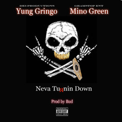 Yung Gringo Ft Mino Green -Neva Turnin Down(Prod By Bud)