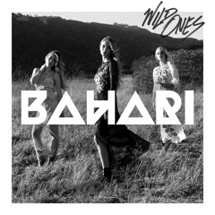 Bahari - Wild Ones (The Red Baron Remix)