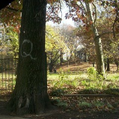 I'm Going Home Mix - Weequahic Park June 27th 2015