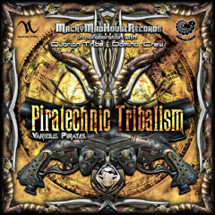 Moneypulate- Chakraview (OUT NOW on VA- Piratechnic Tribalism (Macky Mad House Recs)