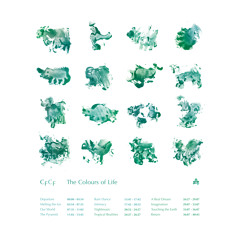 CFCF "Rain Dance" - Boiler Room Debuts