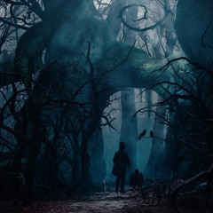 Nioka - Fairytale Soundscapes Out now on "VA Symbiotic Relationships"