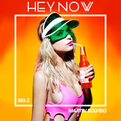 Martin Solveig - Hey Now (Big Z Remix)