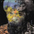 Artwork for Fruto De La Tierra