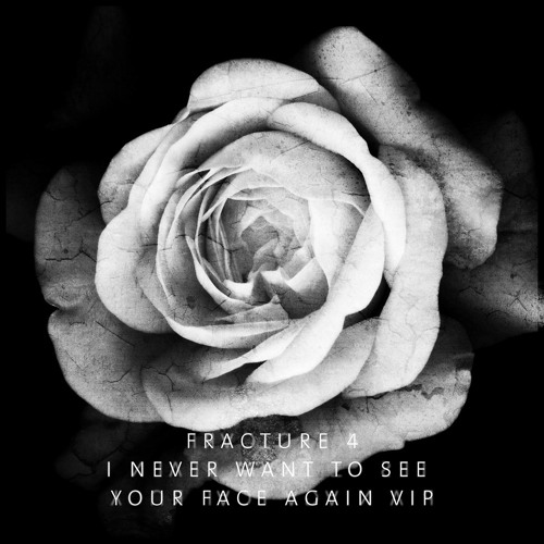 I Never Want To See Your Face Again VIP (The Original Vox Version)