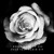 Artwork for I Never Want To See Your Face Again VIP (The Original Vox Version)