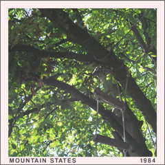 Mountain States - 1984