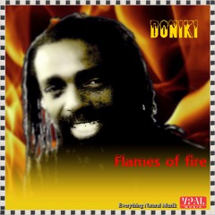 Doniki - Flames Of Fire, Album