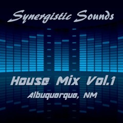 Synergistic House Mix Vol 1