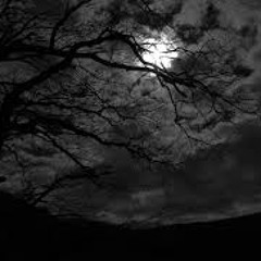 NIGHTSTALKER