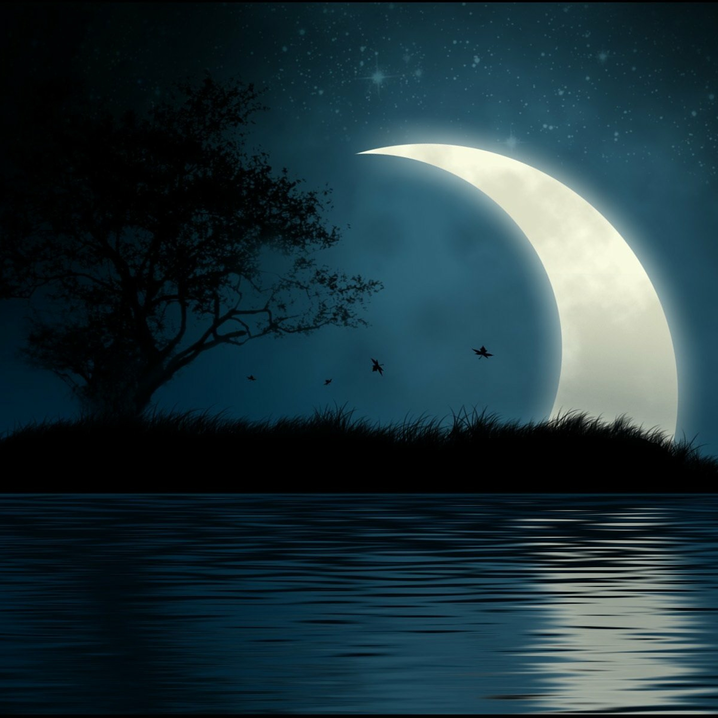 When Night Falls (Instrumental) episode artwork