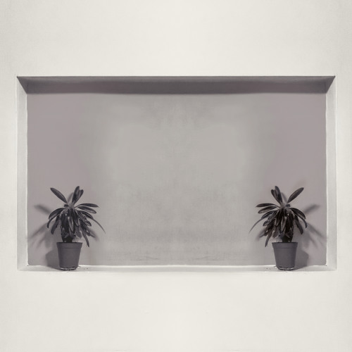 Mew - Symmetry (Cover With Inidna)