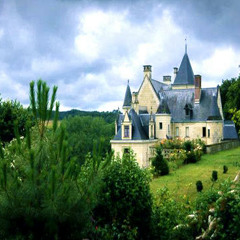 BILL BREWSTER | Chateau Du Petit Thouars