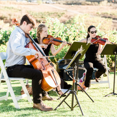 White Wedding (Billy Idol) - String Quartet