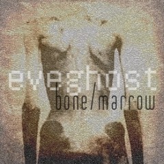 bone & marrow