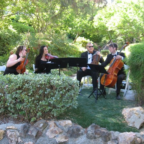 Canon in D - String Trio