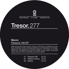 Electronic Explorations - 381 - Mønic